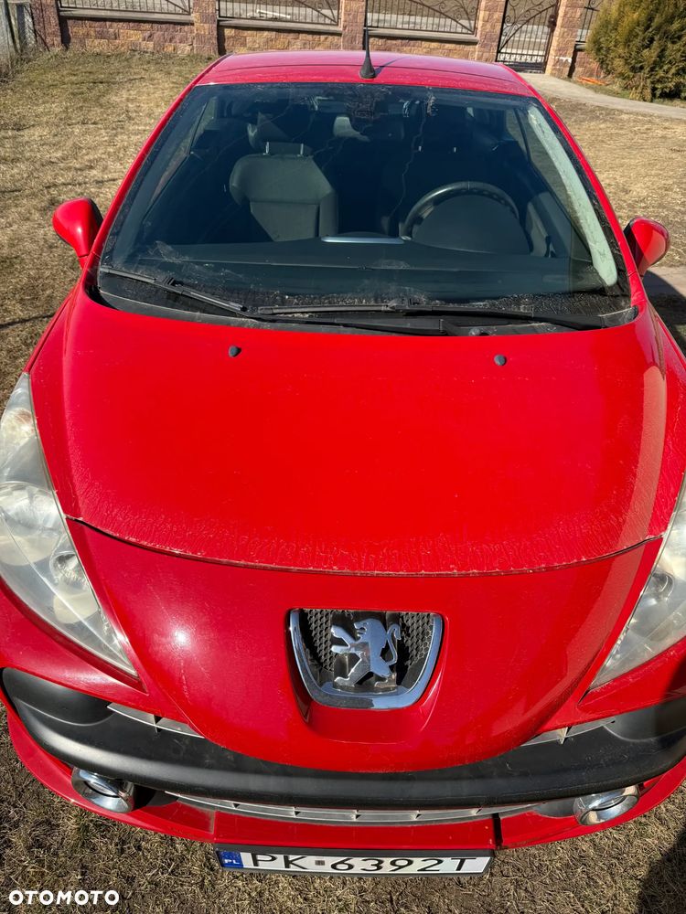 Peugeot 207 - 11