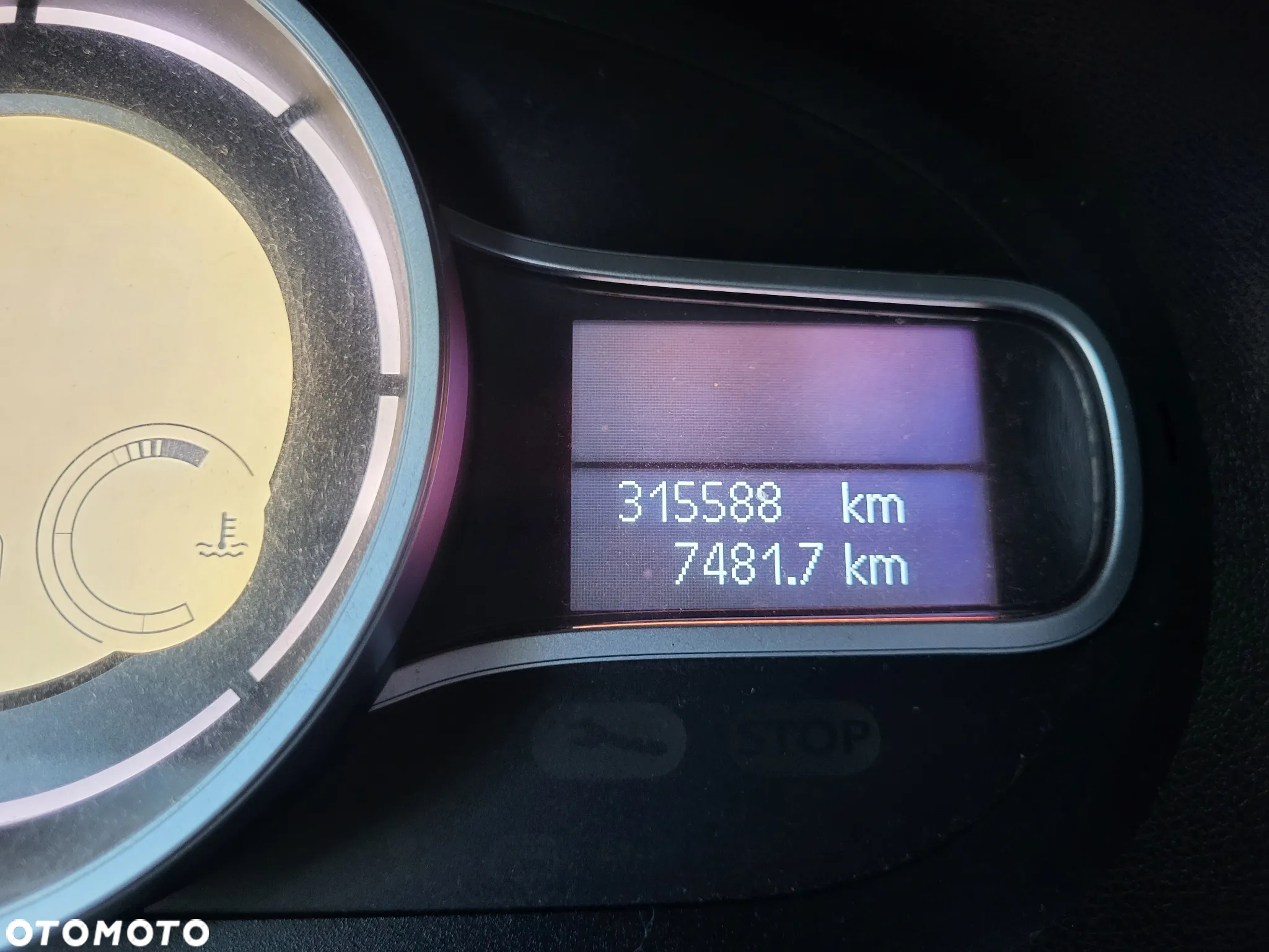 Renault Megane - 10