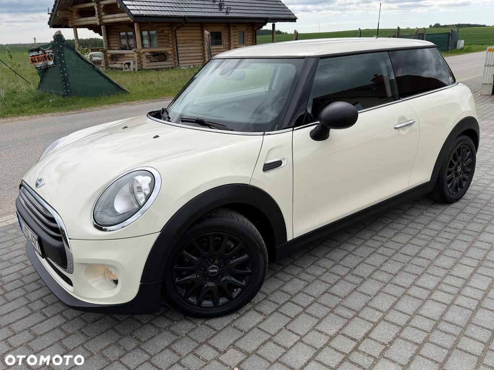 MINI ONE Blackyard - 8