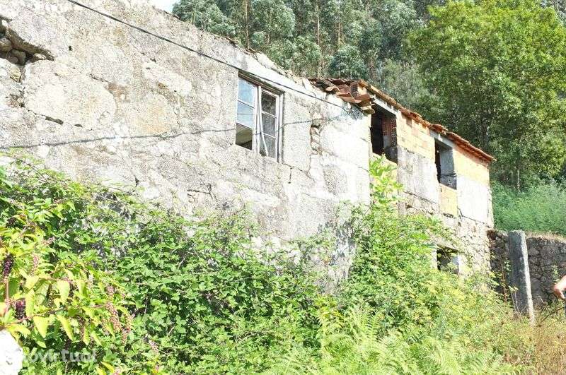 Oportunidade: Moradia para Renovar em Tregosa - Grande imagem: 2/10
