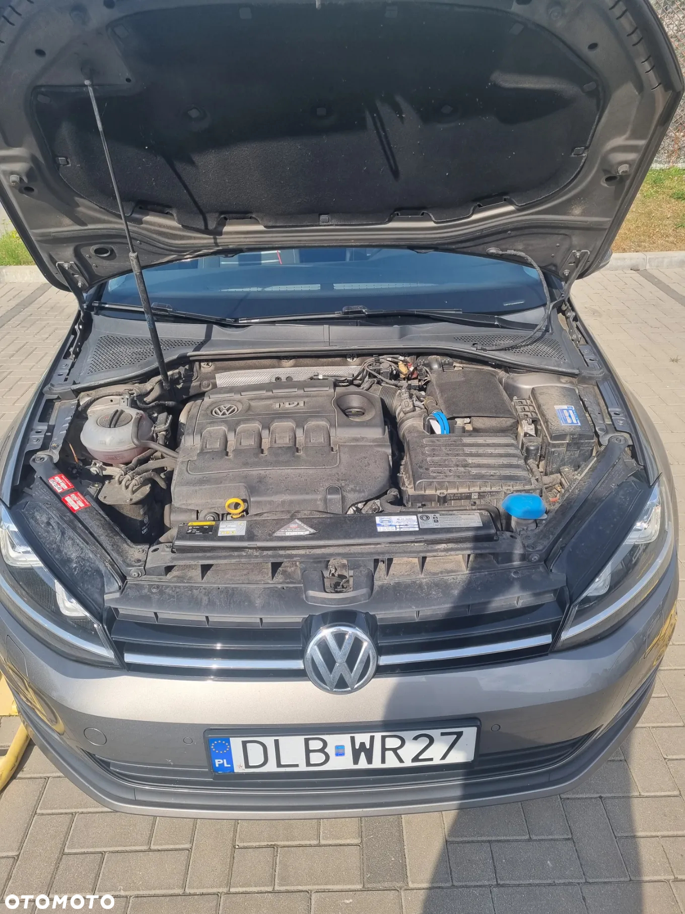 Volkswagen Golf 1.6 TDI BlueMotion Technology Cup - 6