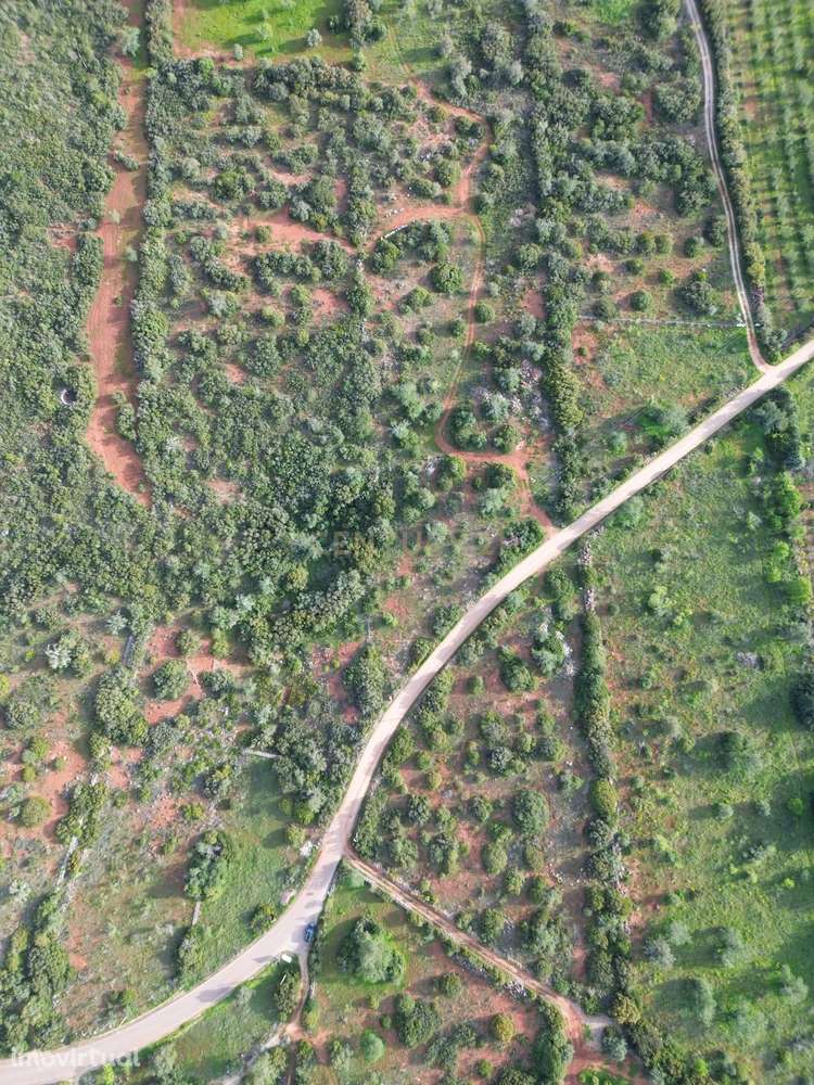 Terreno Rústico | 14.360m² | Paderne | Acesso Alcatroado | Dividido em - Grande imagem: 5/25