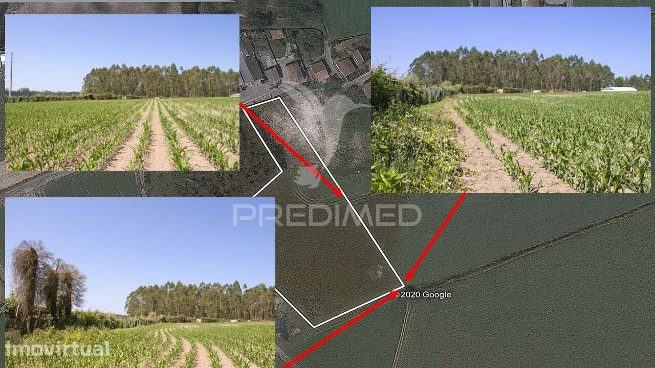 Terreno em Guilhabreu - Grande imagem: 5/7