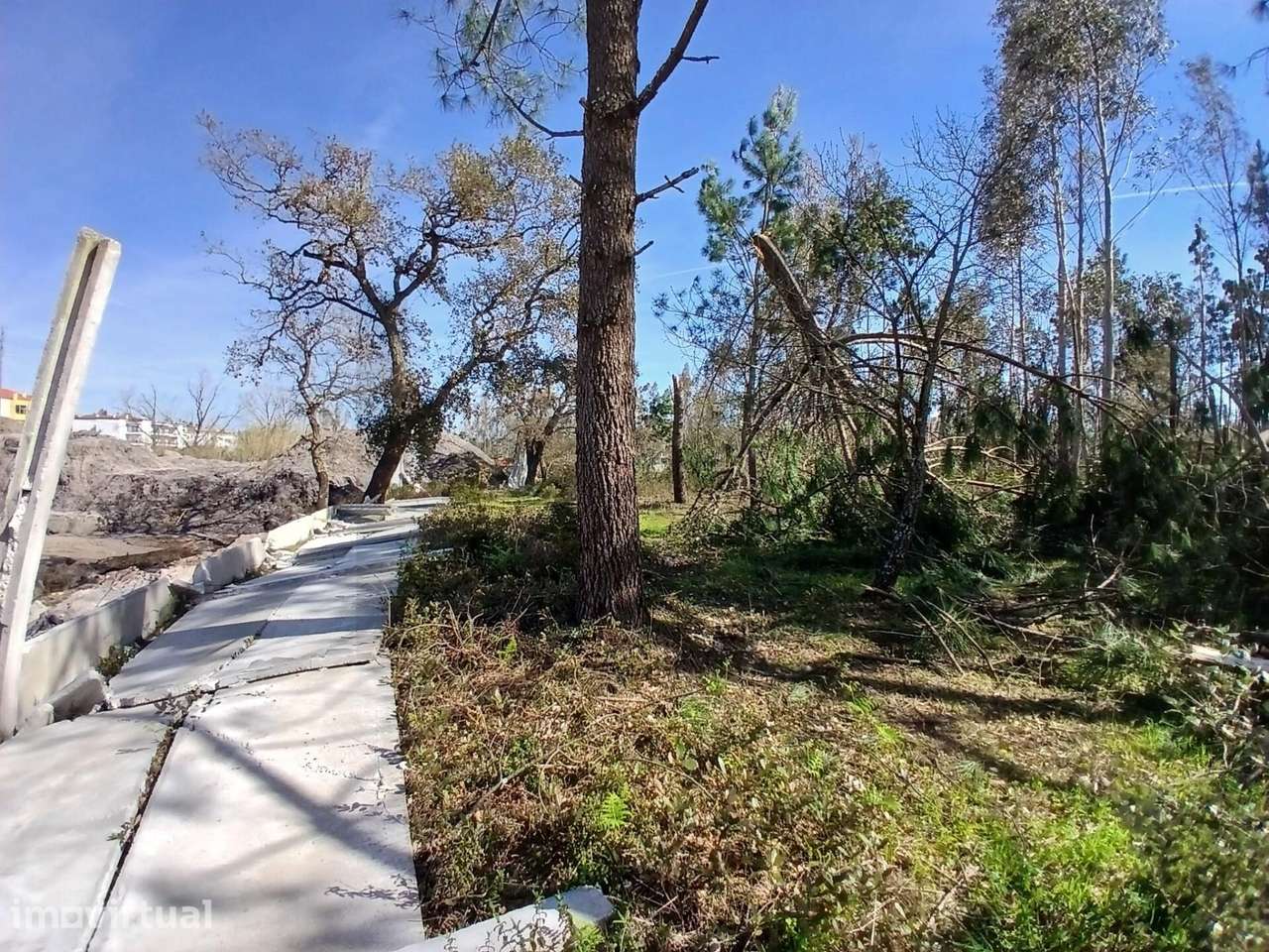 Terreno com 10.712 m2 – Embra, Marinha Grande - Grande imagem: 4/29