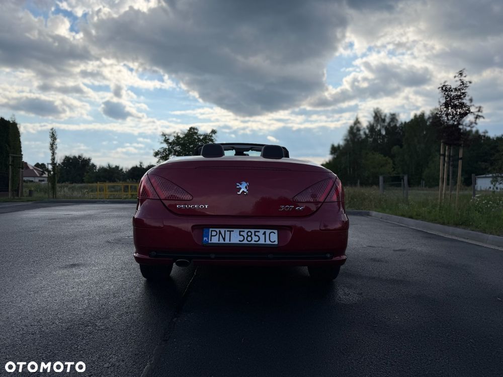 Peugeot 307 - 22