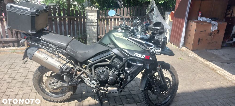 Triumph Tiger - 1