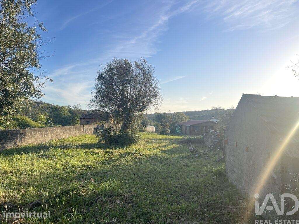 Casa de Campo T2 em Chãos - Grande imagem: 5/25