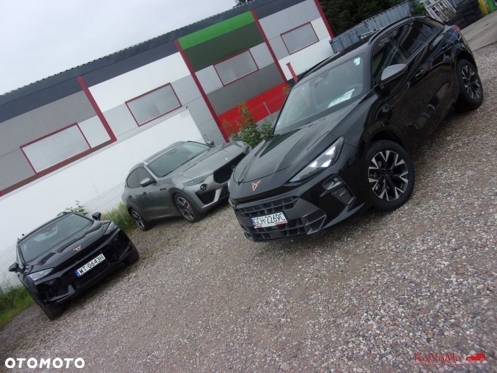 Cupra Terramar - 31