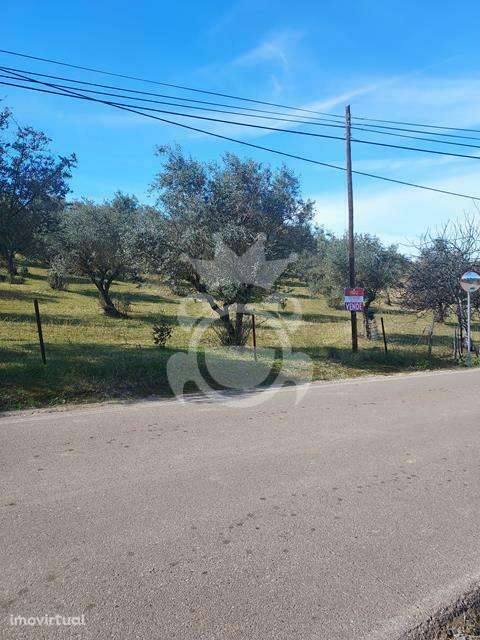 Terreno rústico com possibilidade de construção - Grande imagem: 2/7