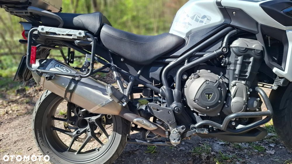 Triumph Tiger - 6
