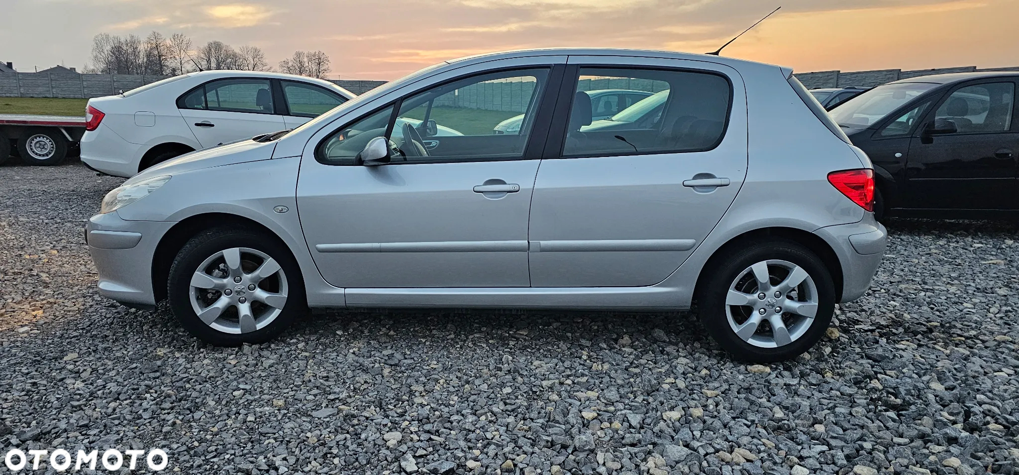Peugeot 307 1.6 Premium - 8
