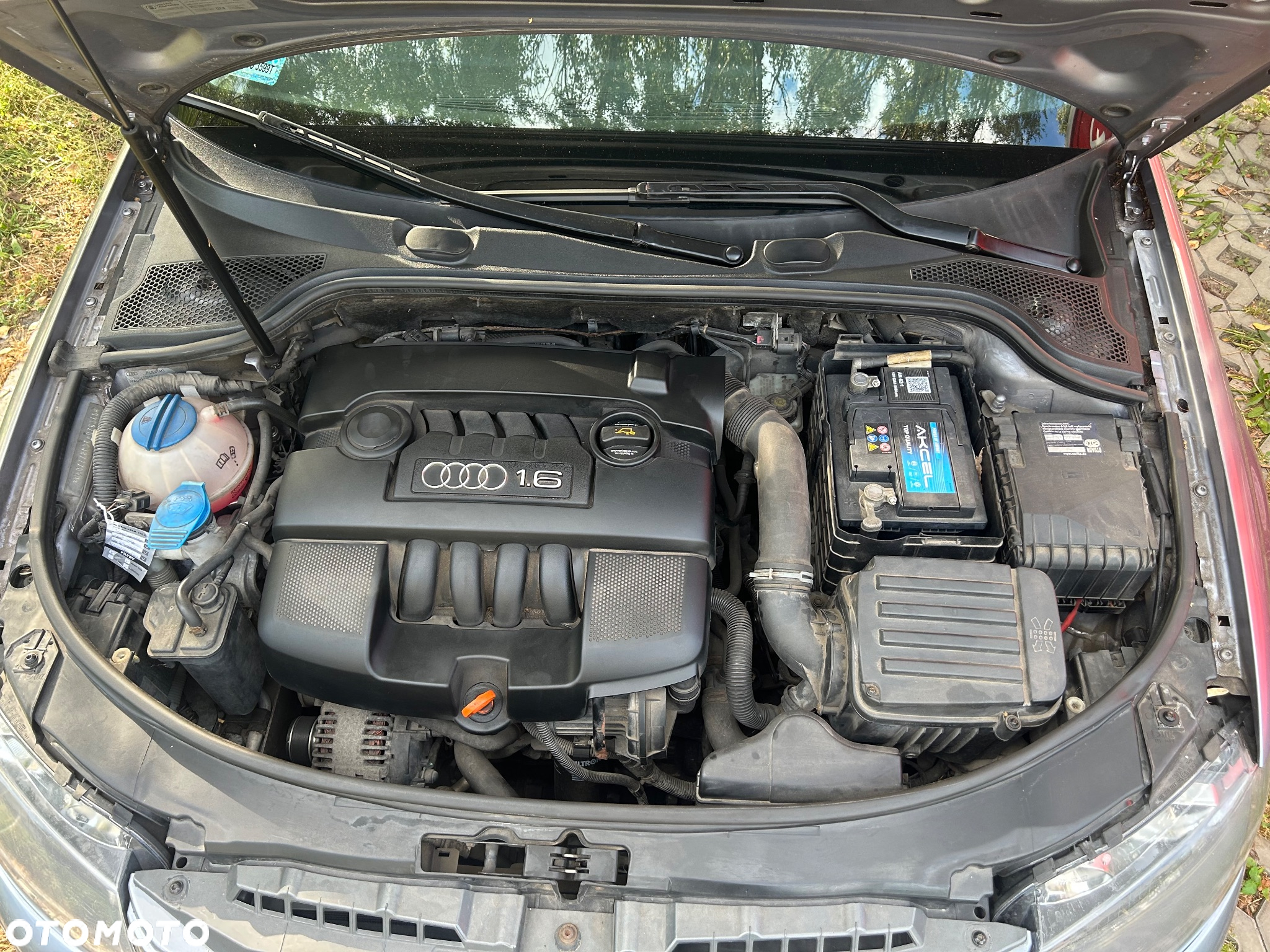 Audi A3 1.6 Attraction - 24