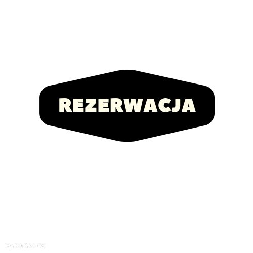 Renault Trafic 2.0dCi - 1