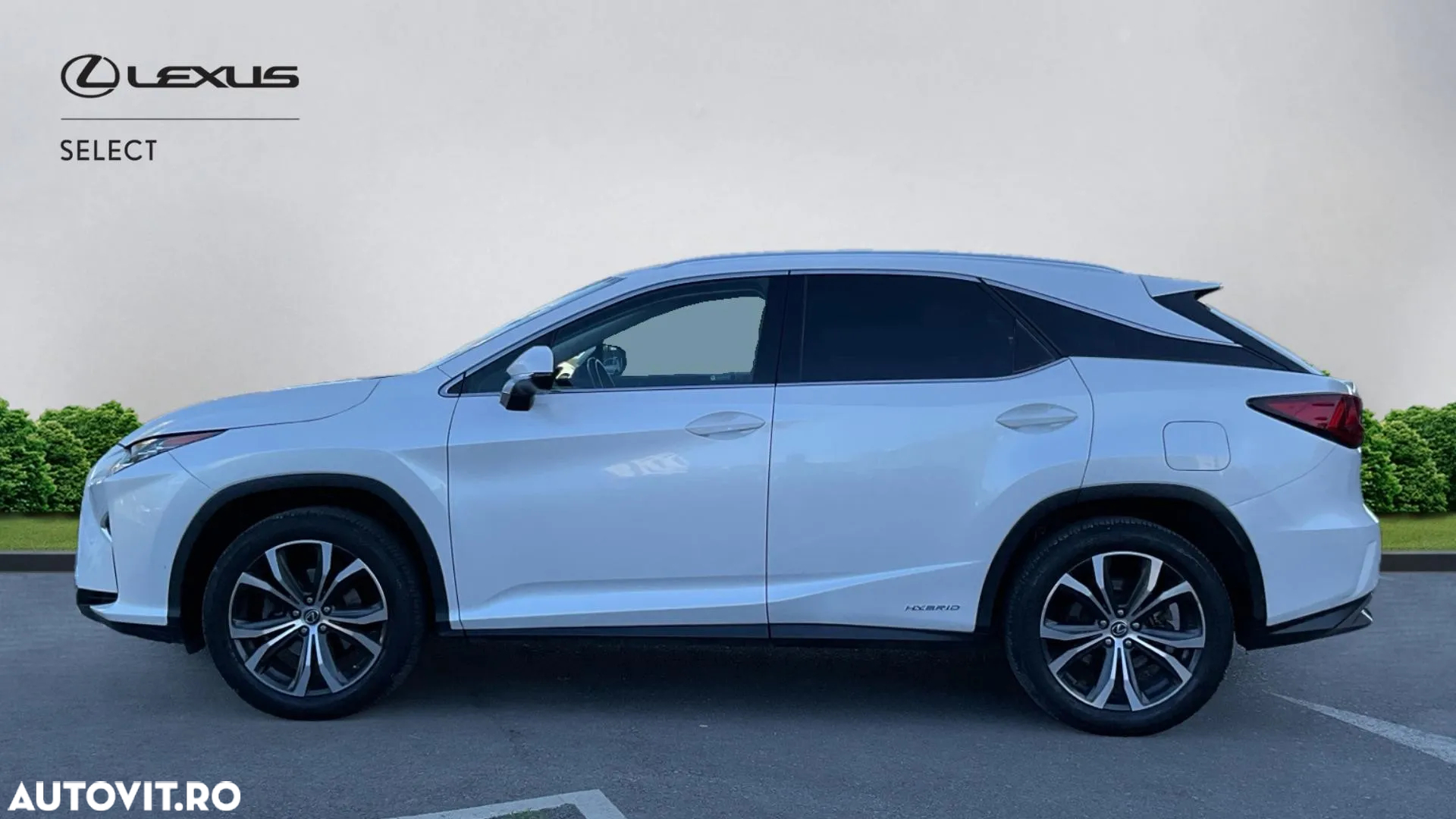 Lexus Seria RX 450h Aut. Executive Plus - 5