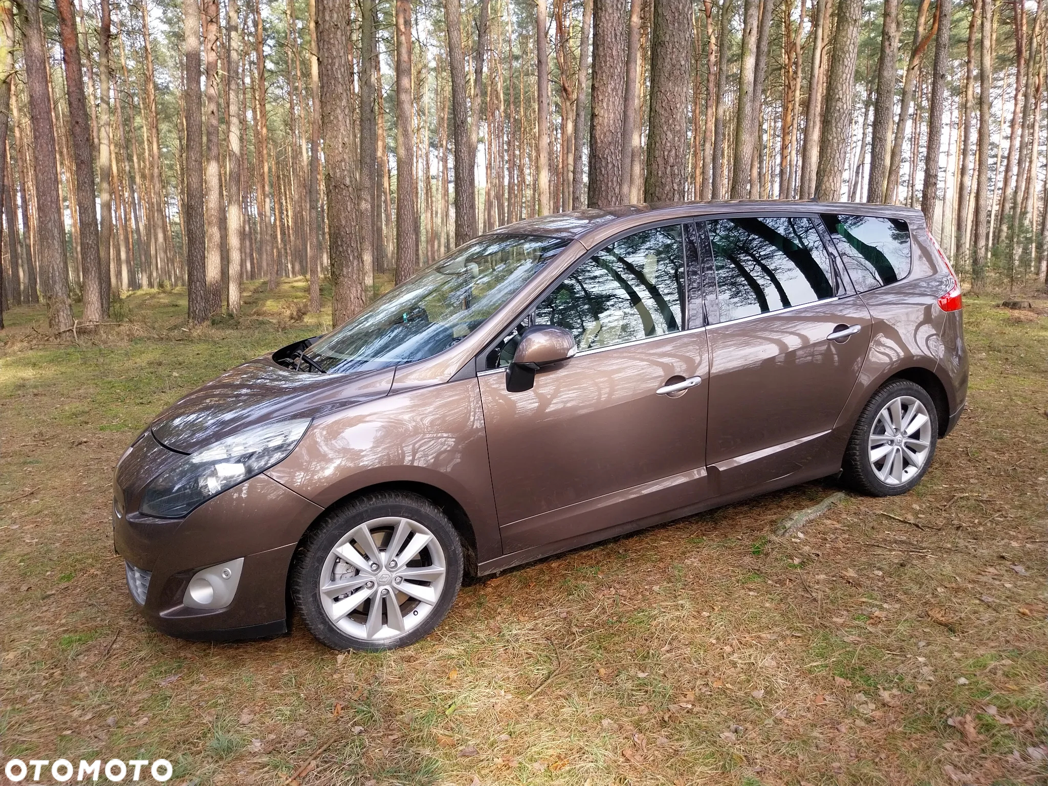 Renault Scenic - 4