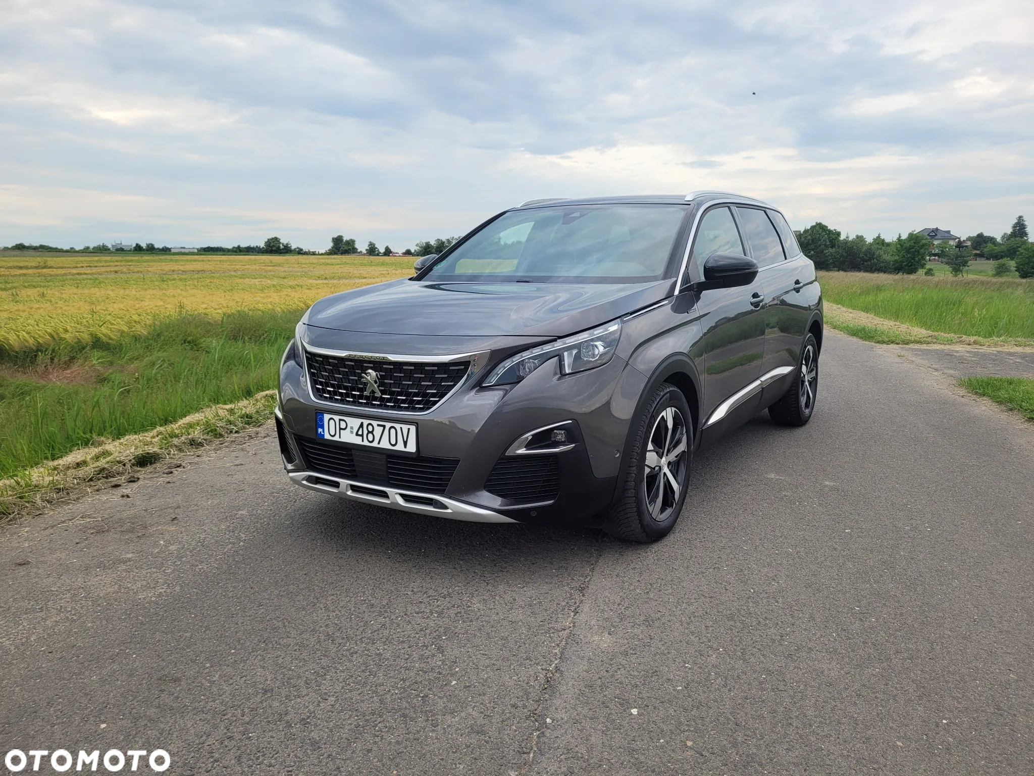 Peugeot 5008 - 4