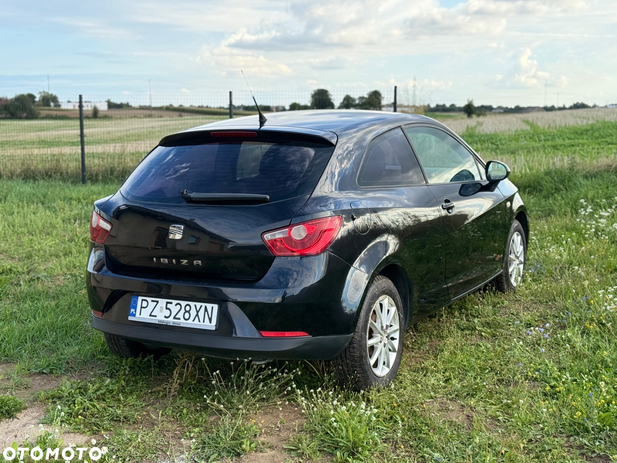 Seat Ibiza - 3