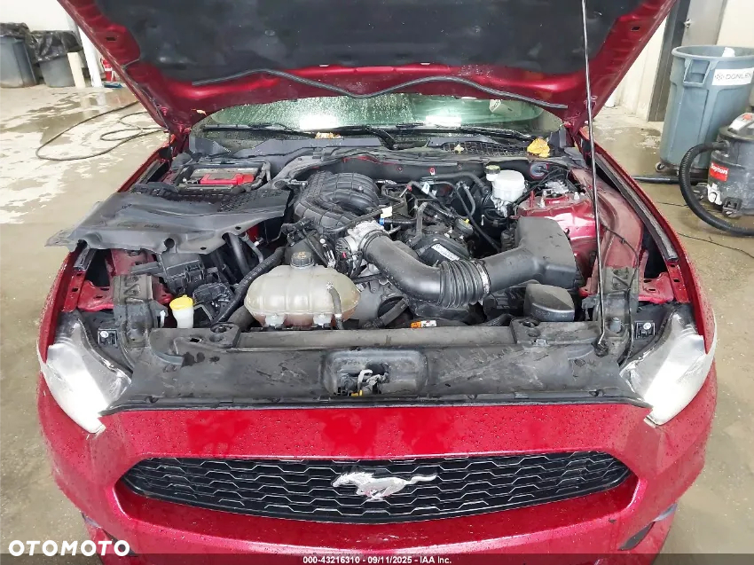 Ford Mustang - 11