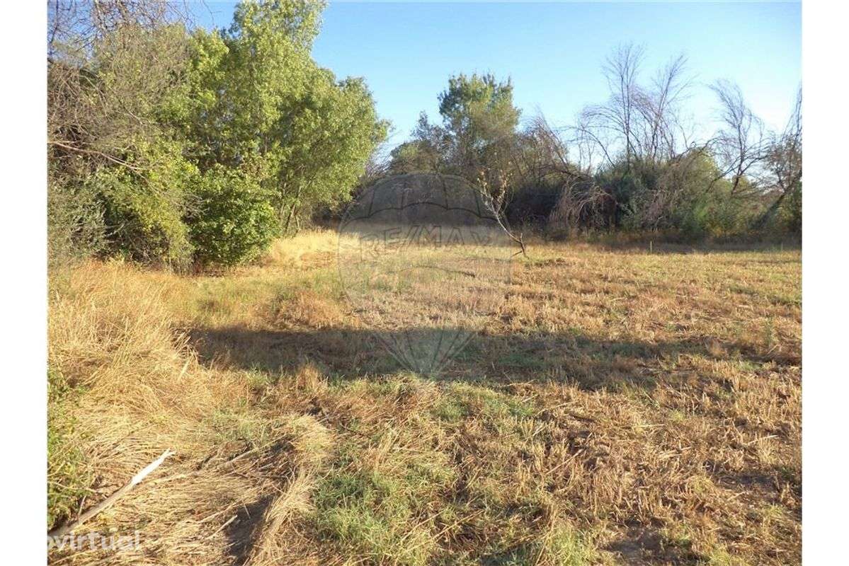 Quinta T0 para venda - Grande imagem: 4/12