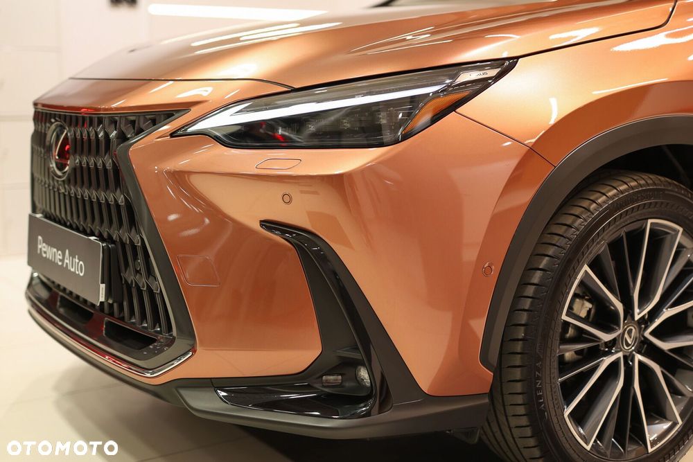 Lexus NX - 22