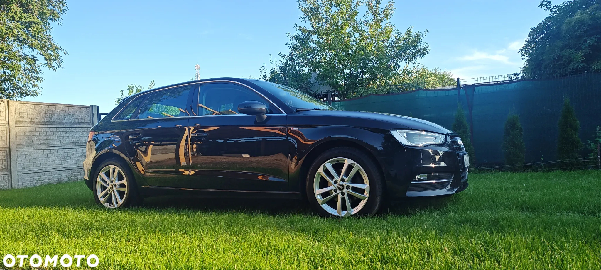 Audi A3 1.6 TDI clean diesel Ambiente S tronic - 5