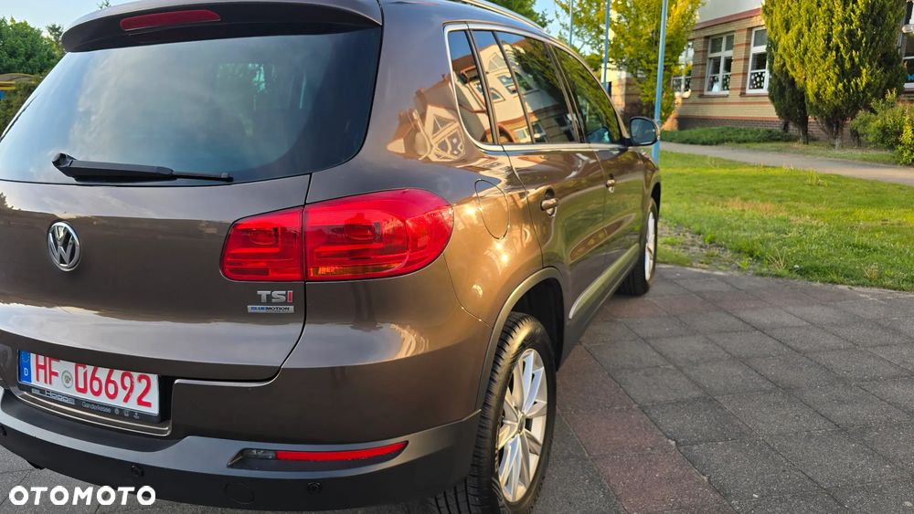 Volkswagen Tiguan - 25