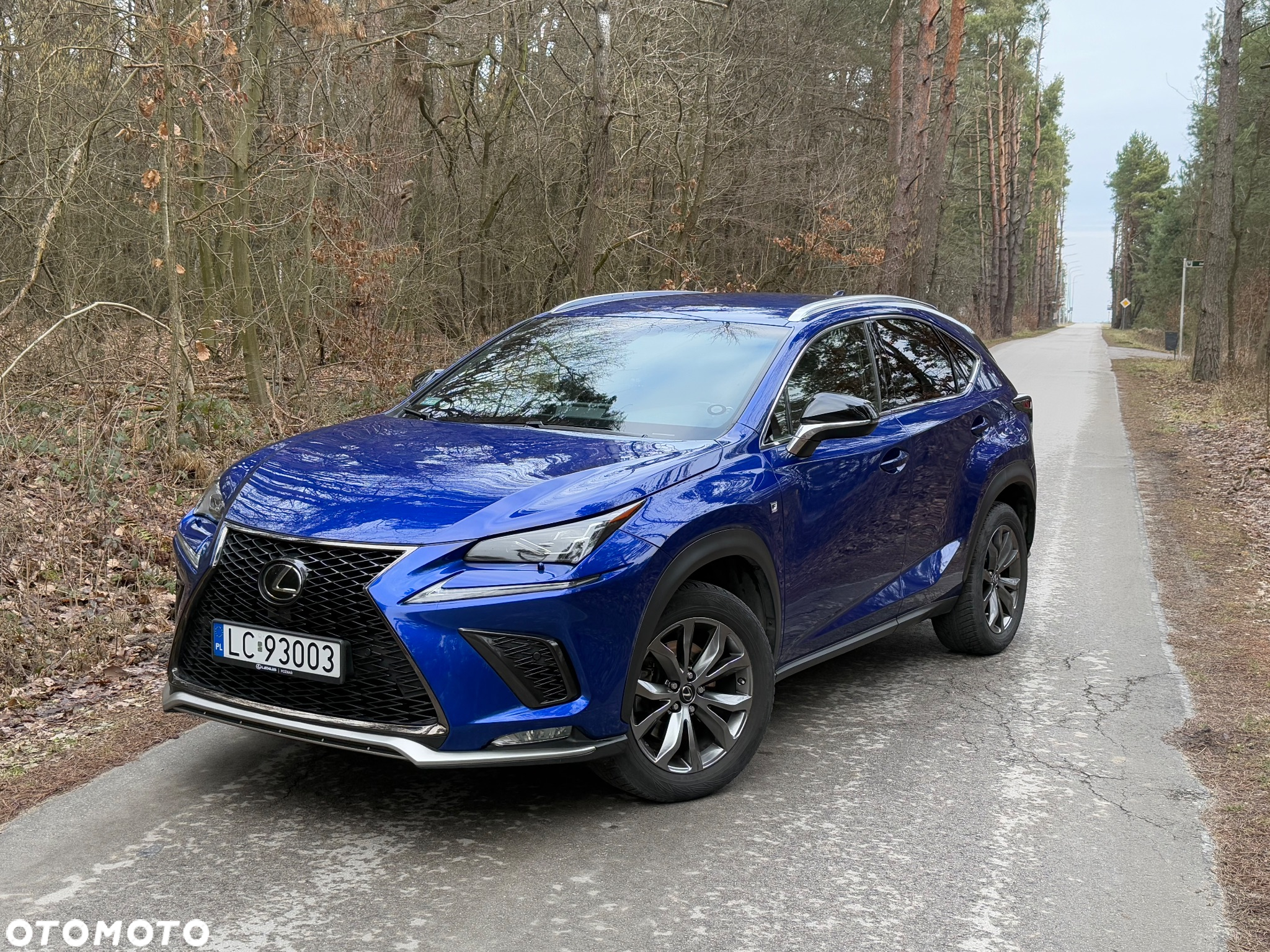 Lexus NX 300 F Sport AWD - 4
