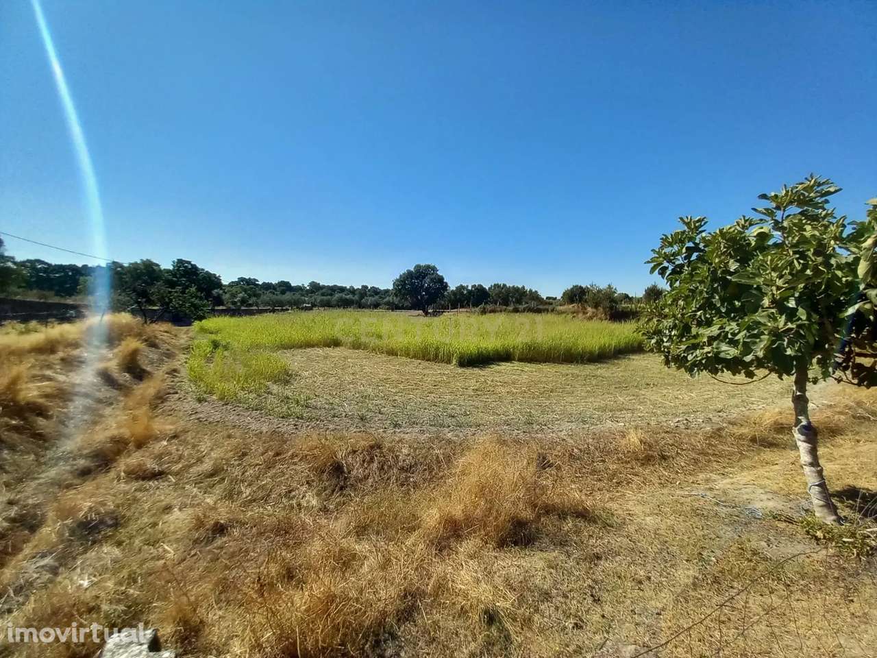 Encantadora Propriedade para Recuperação em Lardosa, Castelo Branco - Grande imagem: 3/35