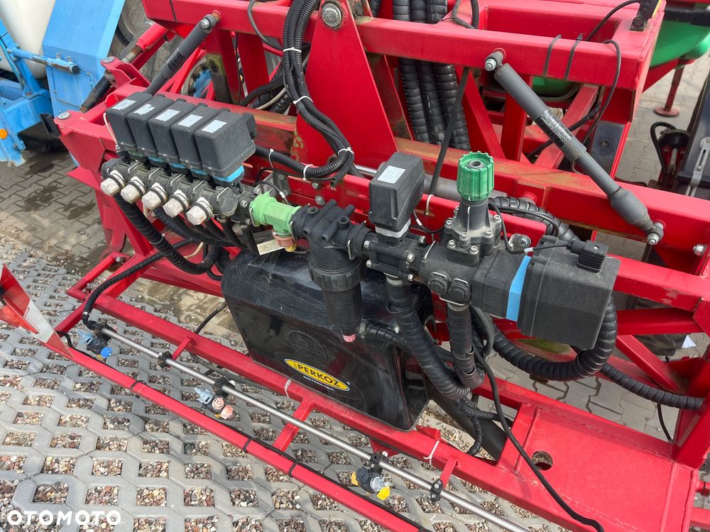 Krukowiak Goliat - 5