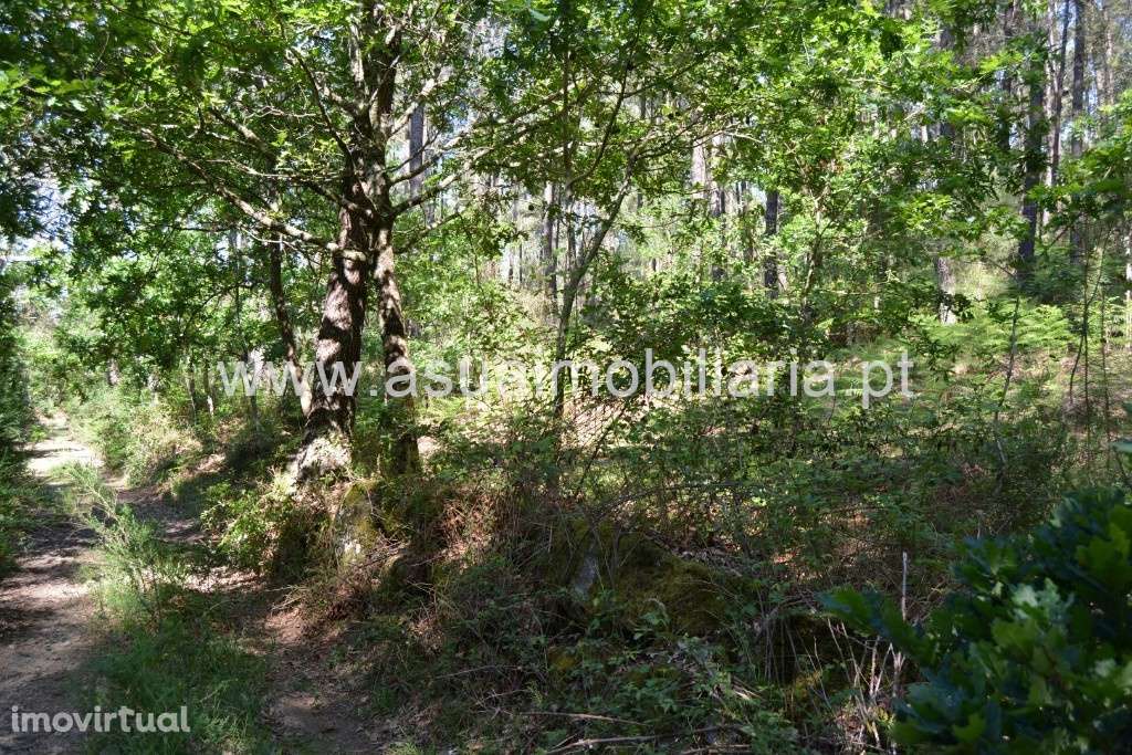 Terreno - Caires - Grande imagem: 4/5