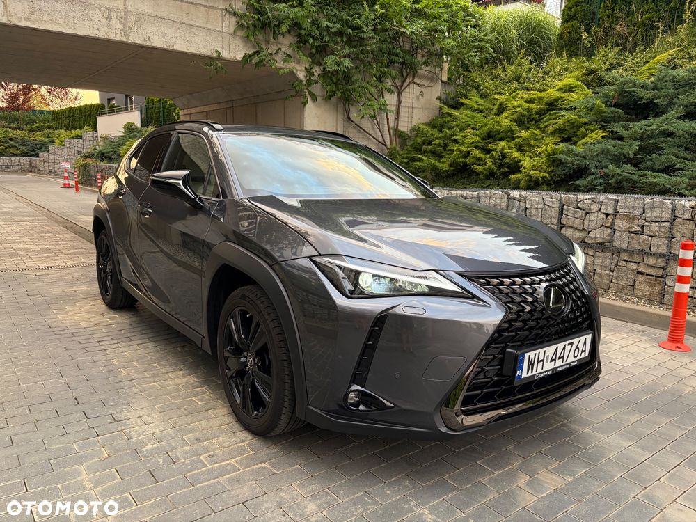 Lexus UX - 6