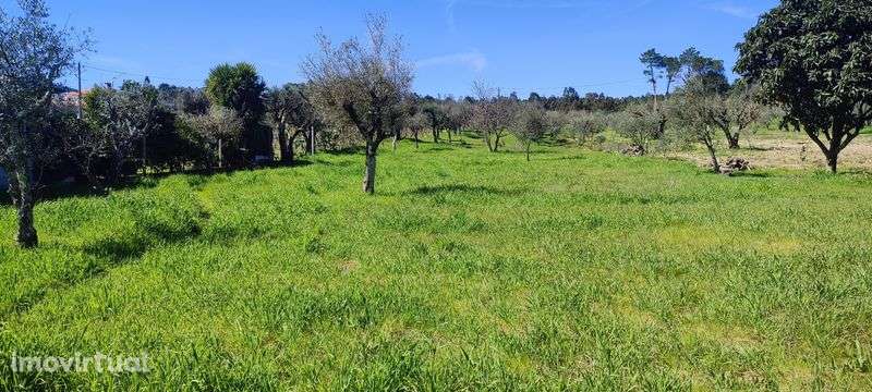 Terreno a 24km de Viseu - Grande imagem: 5/6