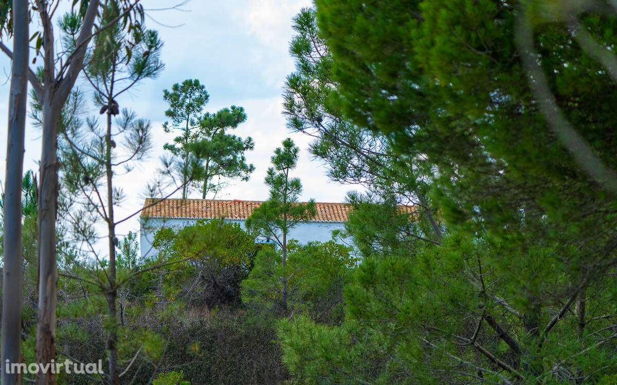 Quintinha Alfambras com vista mar - Grande imagem: 3/10