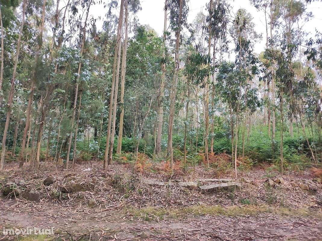 Terreno  para venda - Grande imagem: 5/13