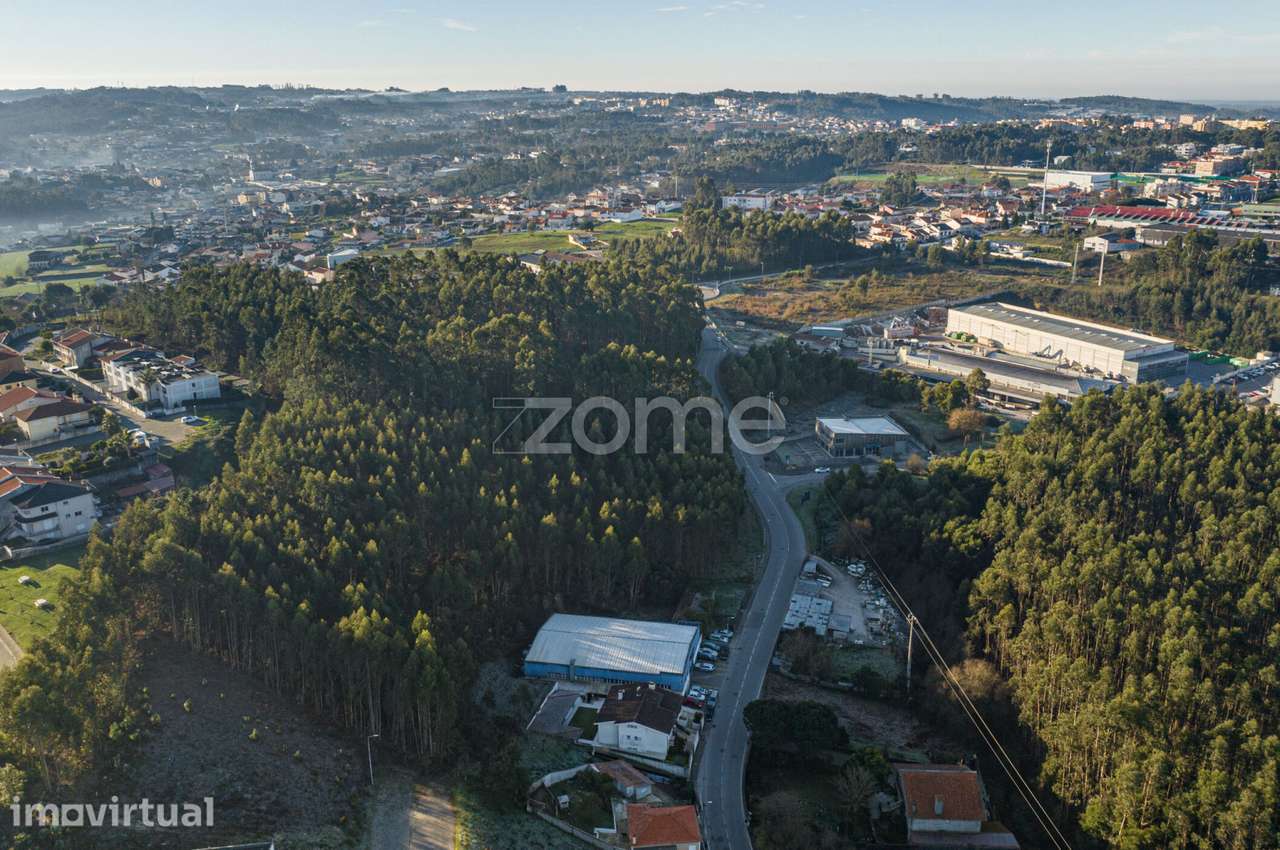 Terreno Urbano Sanguedo - Grande imagem: 3/16