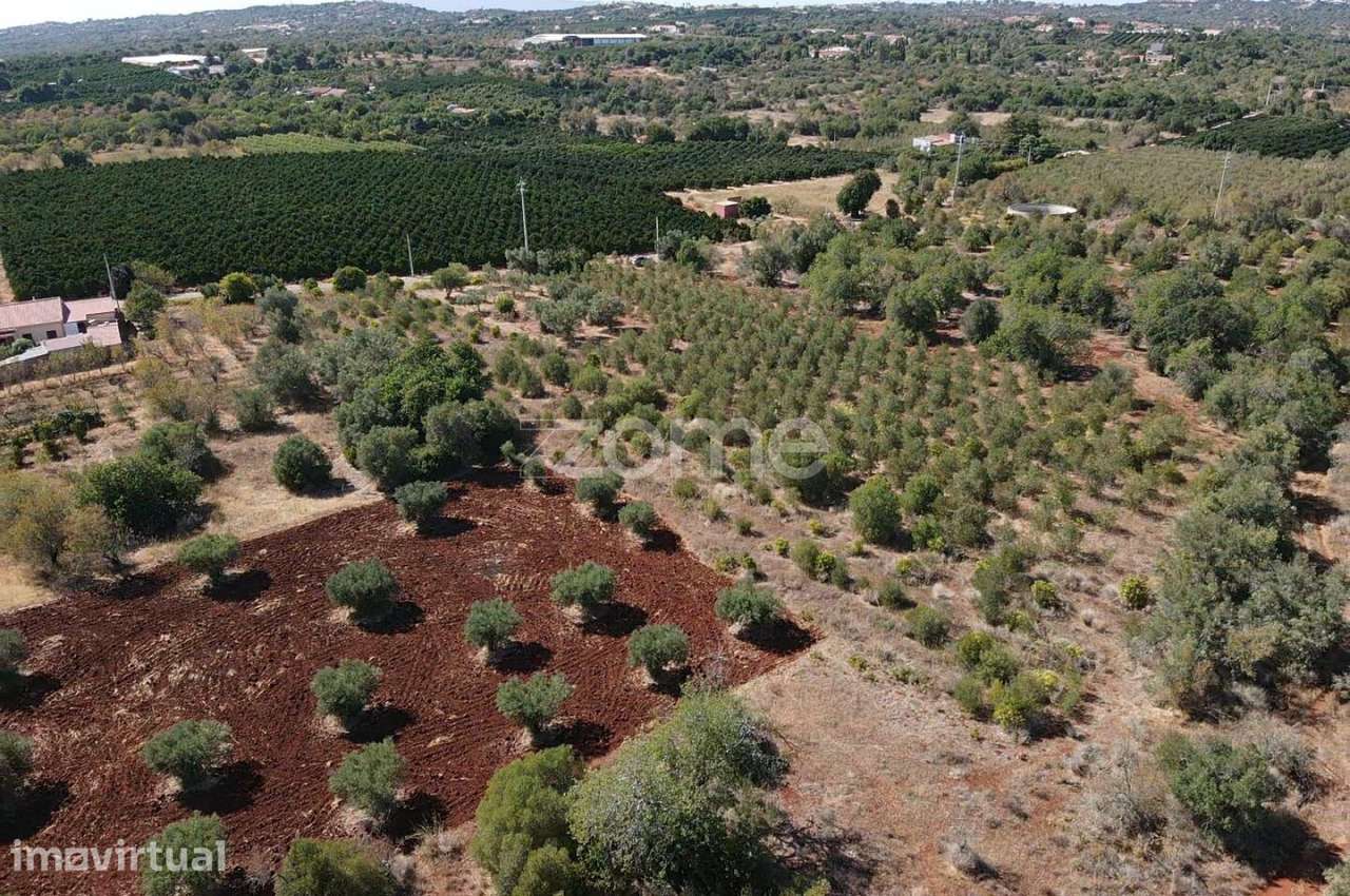Terreno Rústico com 2.060m2 em Torreirão, Messines - Grande imagem: 5/15