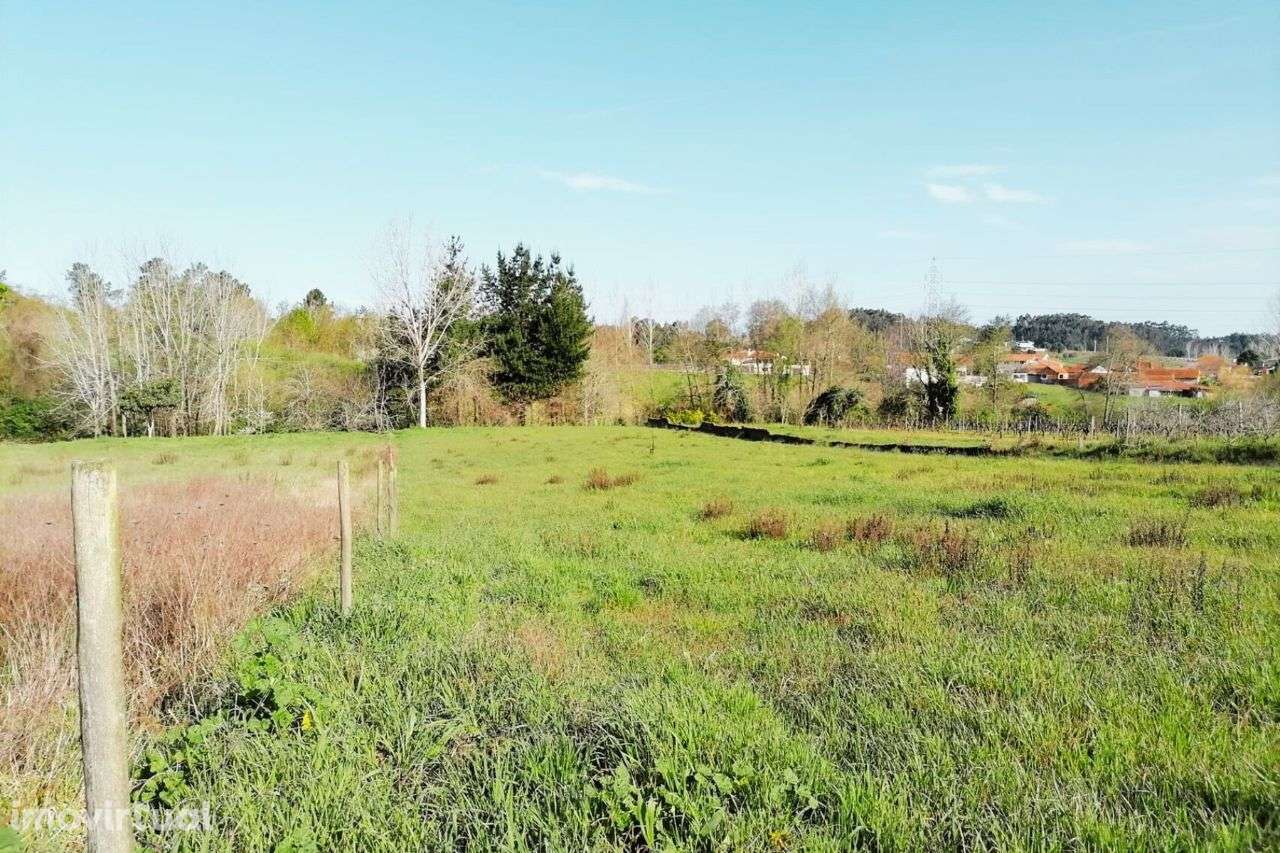 Terreno em Amoreira da Gândara | ERA Imobiliária - Grande imagem: 2/9