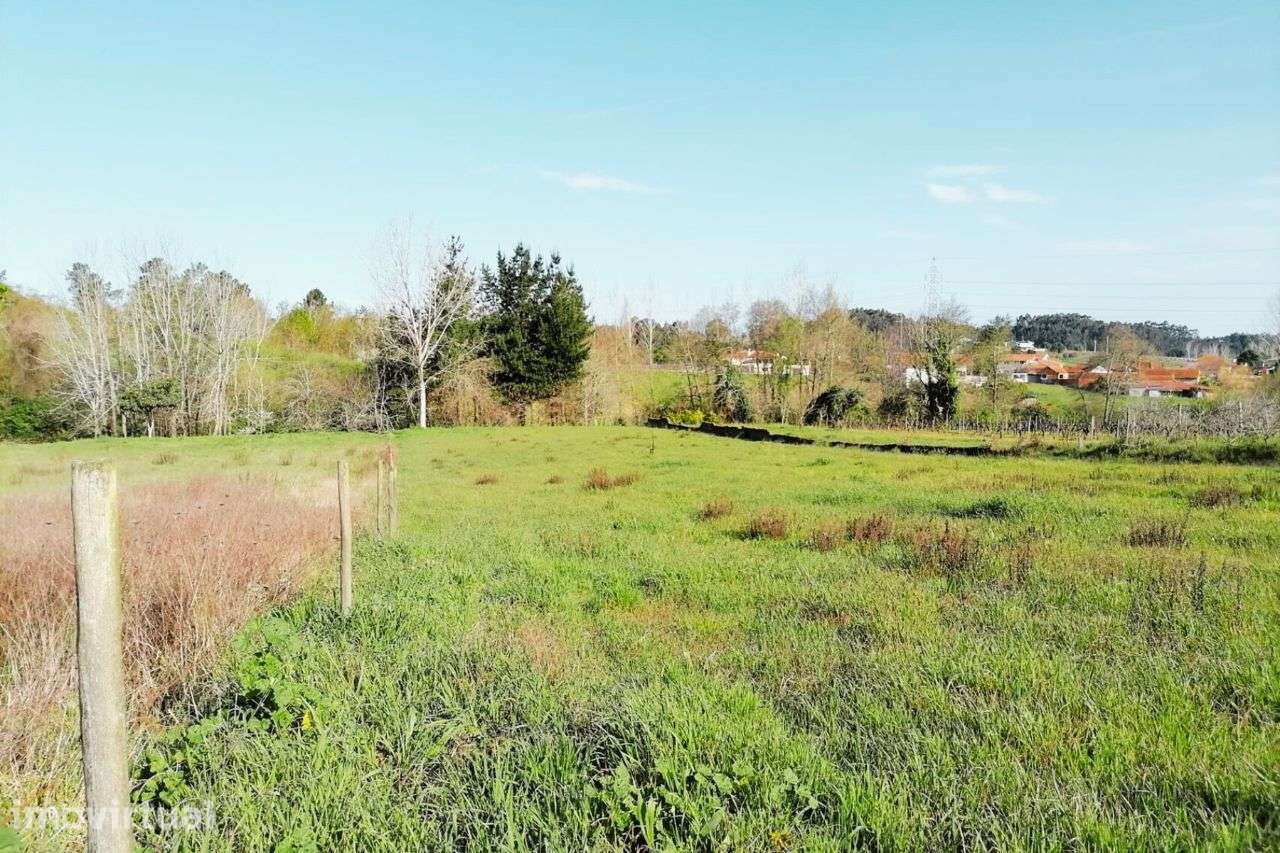 Terreno em Amoreira da Gândara | ERA Imobiliária - Grande imagem: 2/9