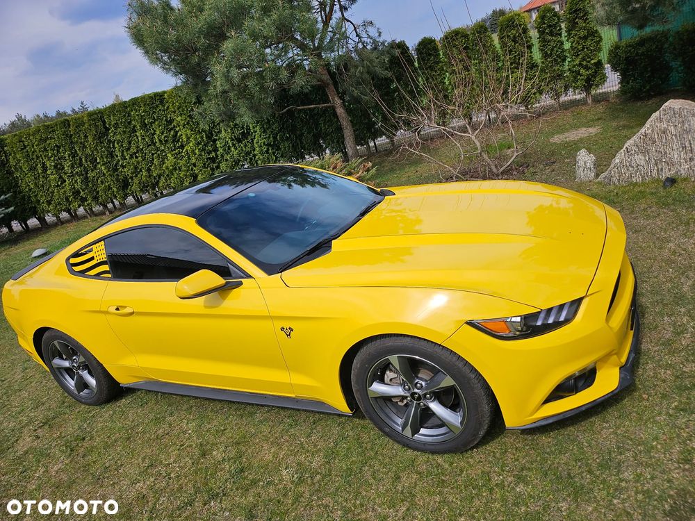 Ford Mustang 3.7 V6 - 9