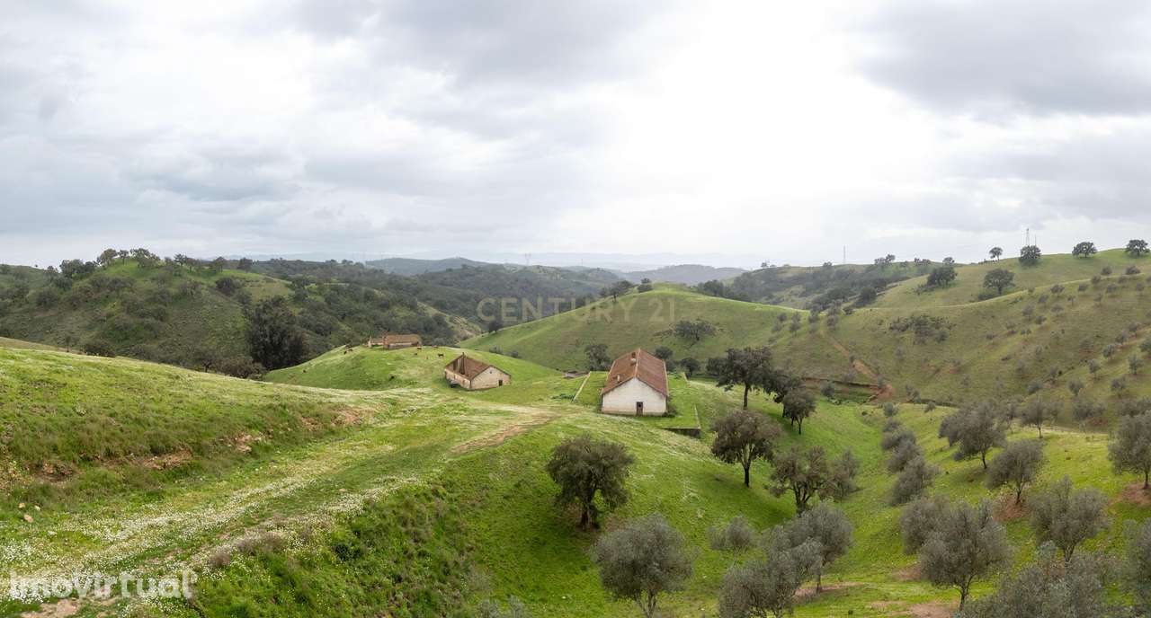 229 Hectares com 3 barragens em Odemira - Grande imagem: 2/25