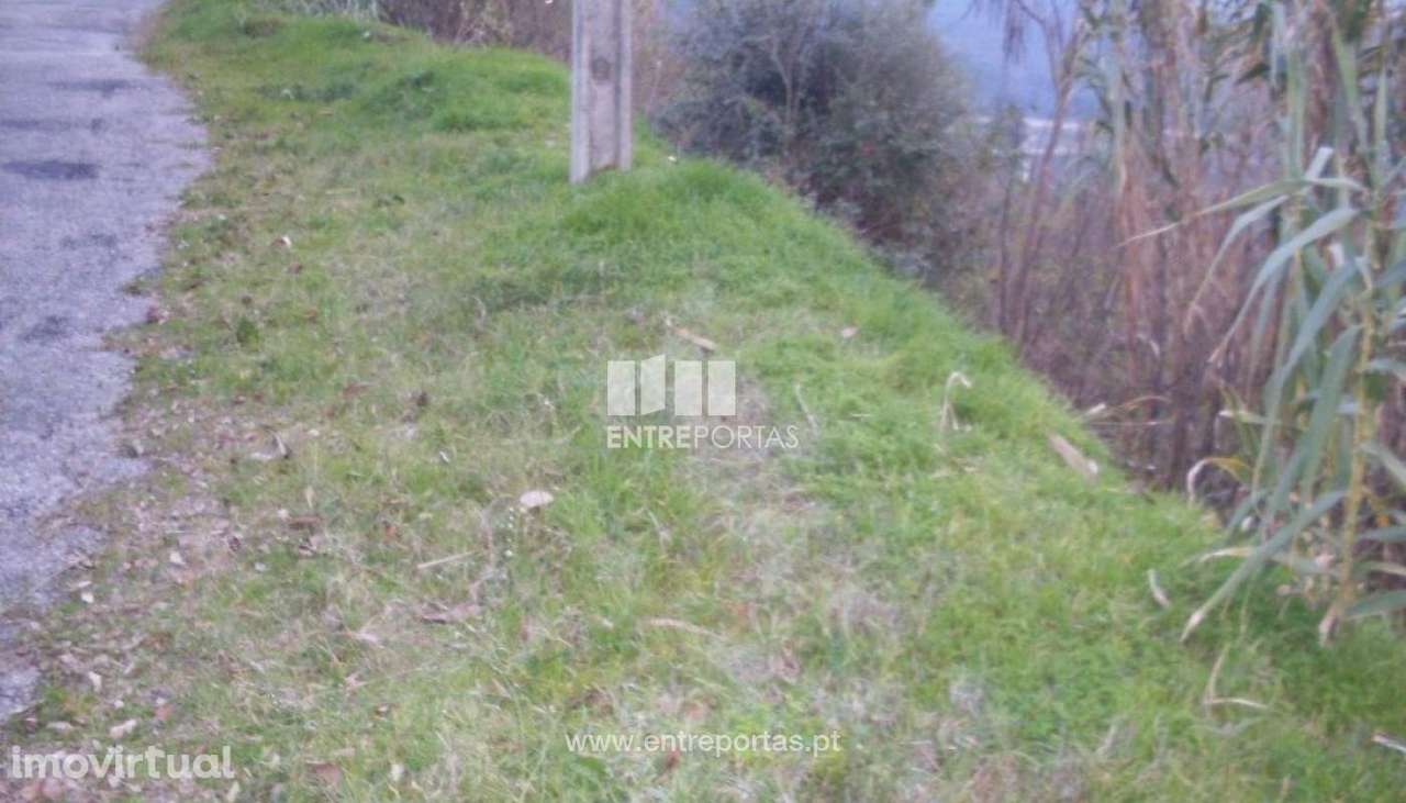 Venda Terreno próximo ao Rio Douro, Santa Marinha do Zêzere, Baião - Grande imagem: 5/10