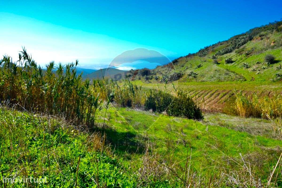 Terreno  para venda - Grande imagem: 3/11