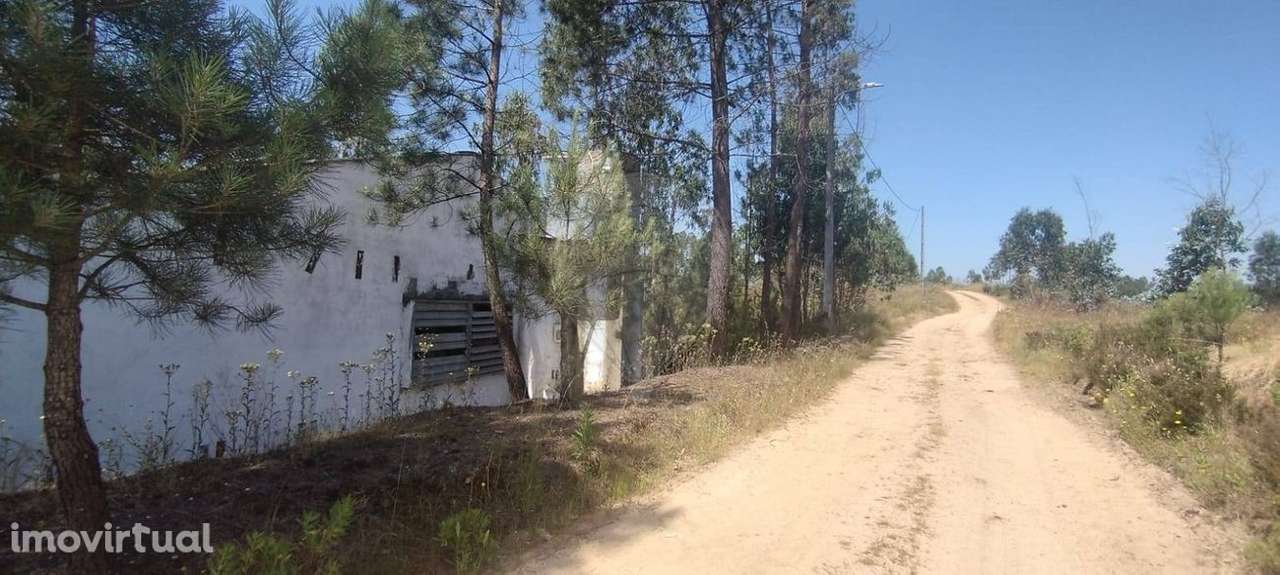 Armazém  para venda - Grande imagem: 4/16