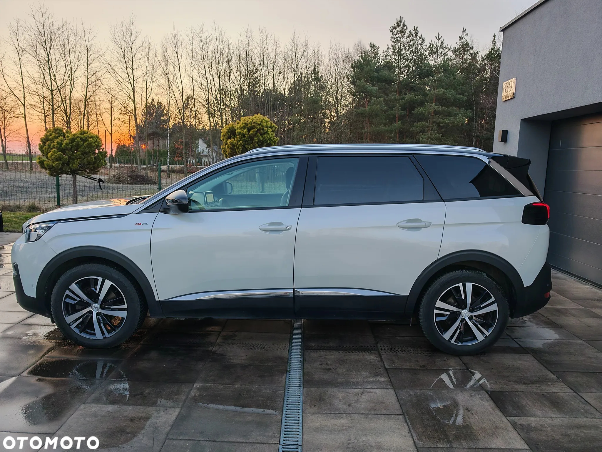 Peugeot 3008 1.5 BlueHDi GT S&S EAT8 - 5