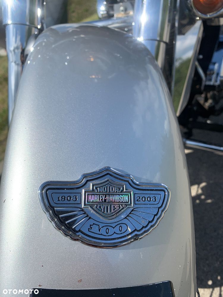 Harley-Davidson Softail - 14