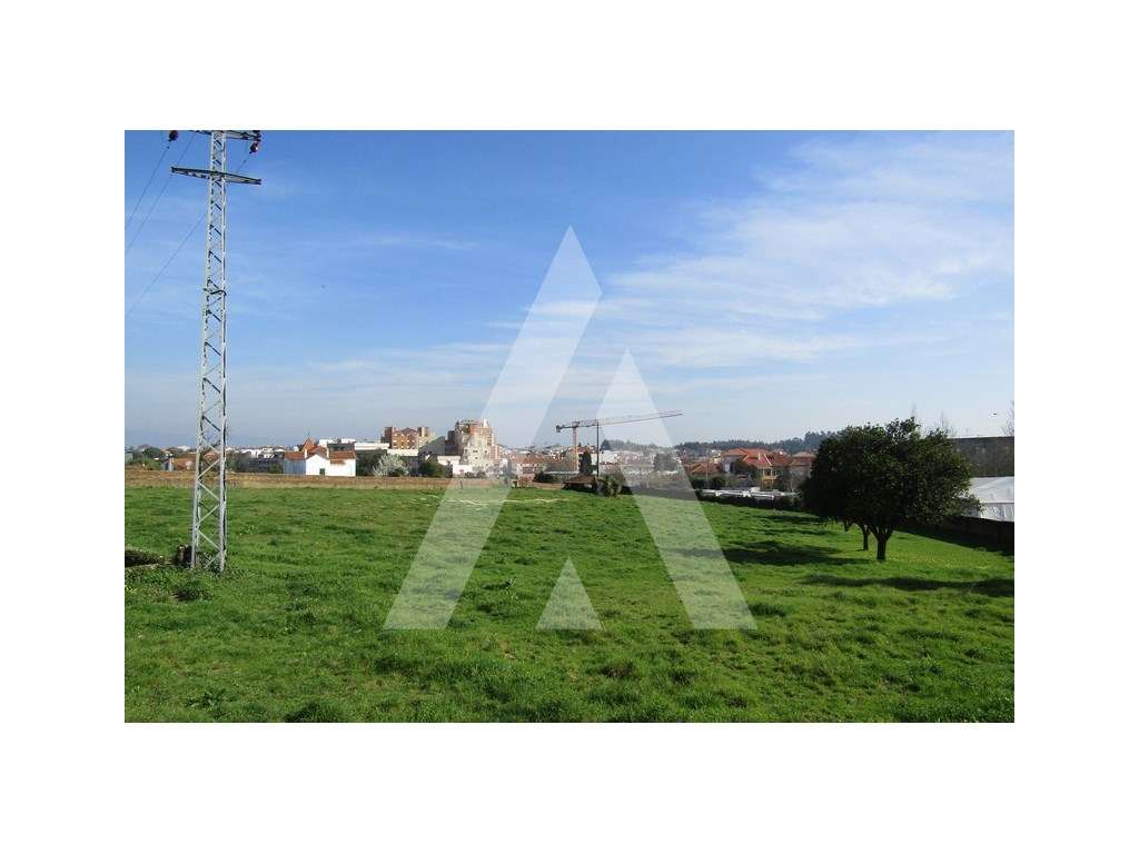 Terreno no centro de Albergaria-a-Velha - Grande imagem: 4/4