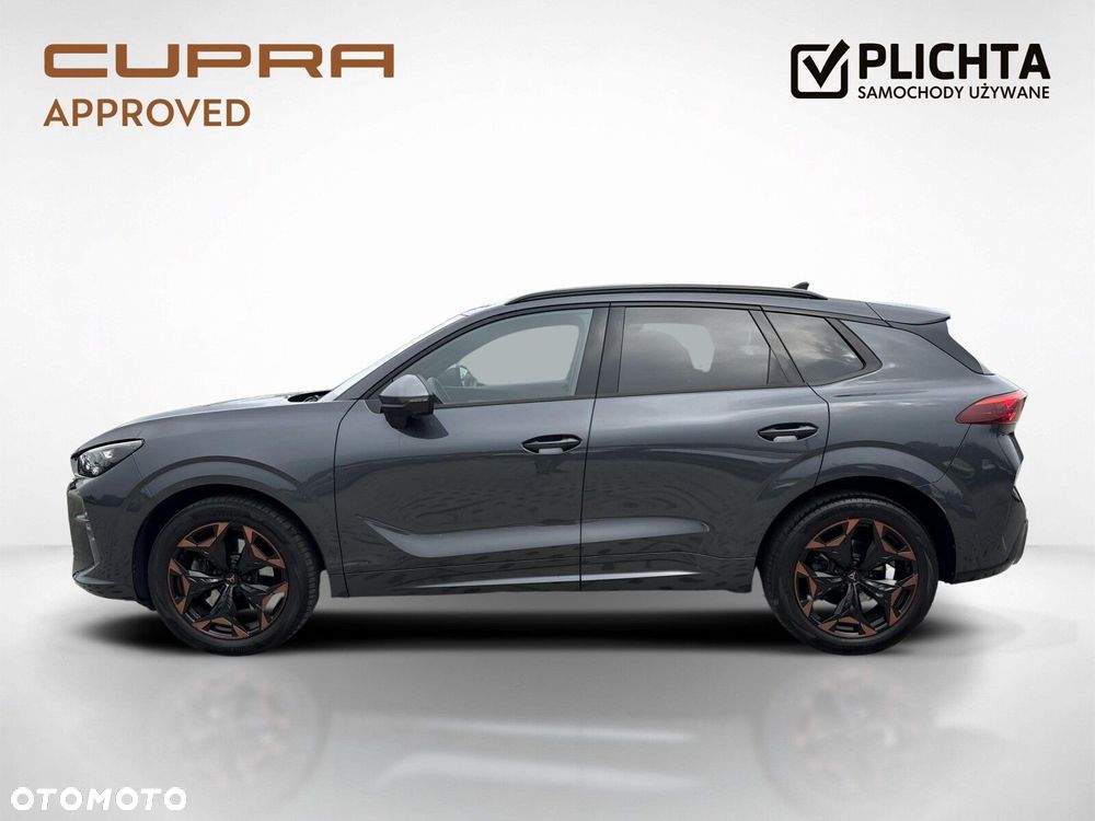Cupra Terramar 2.0 TSI 4Drive DSG - 3
