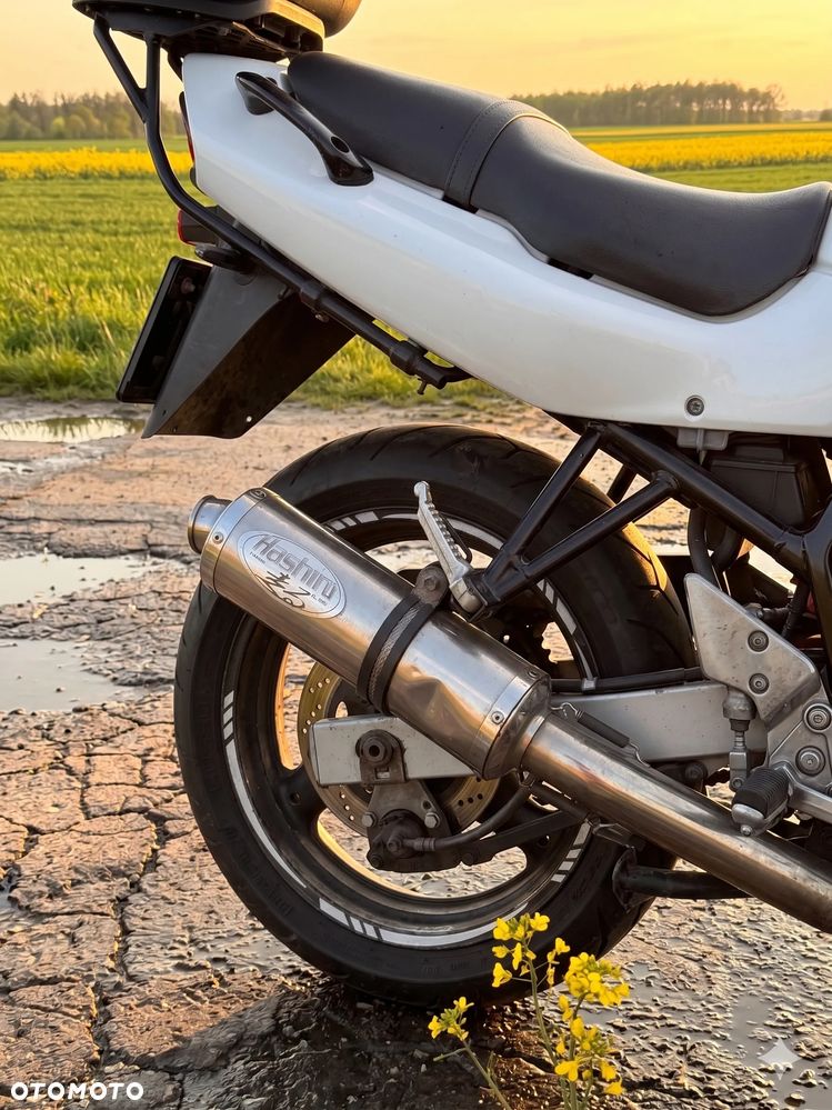 Suzuki Bandit - 6