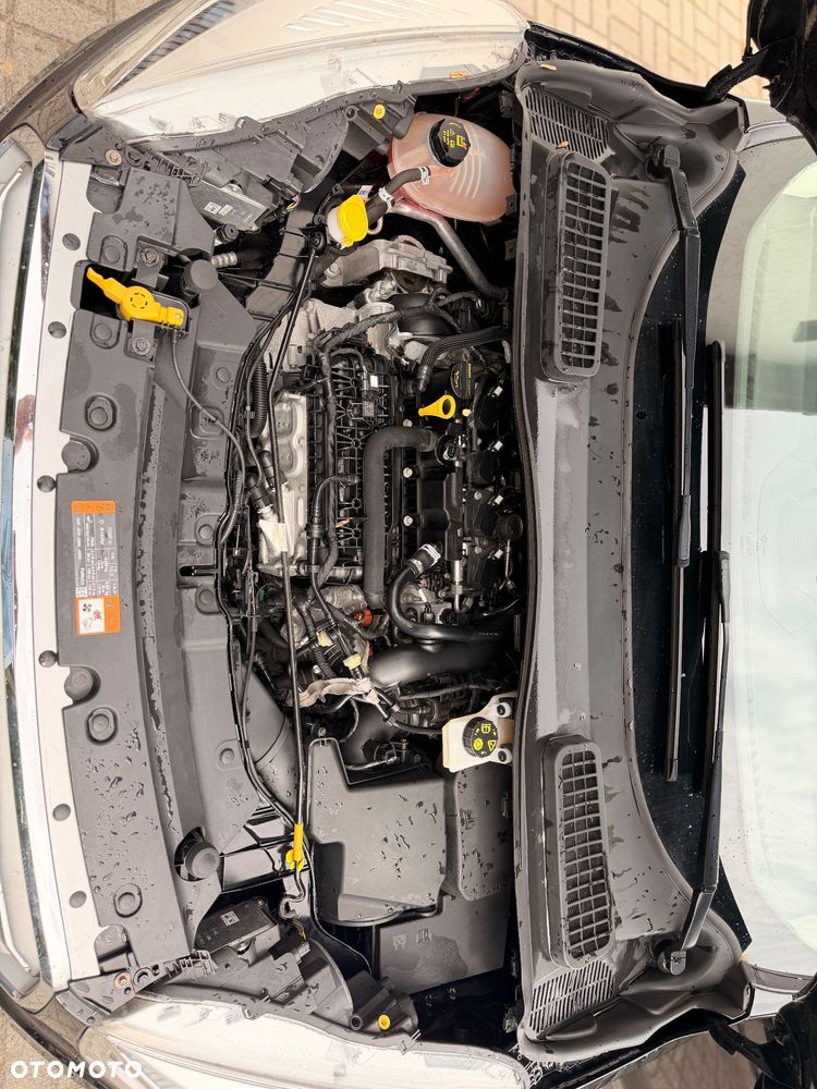 Ford Kuga 1.5 EcoBoost FWD Titanium Plus ASS - 18