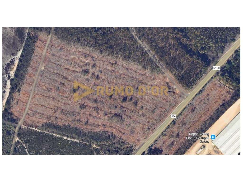 Terreno rústico em Odeceixe, Aljezur com 6,656 ha - Grande imagem: 4/4